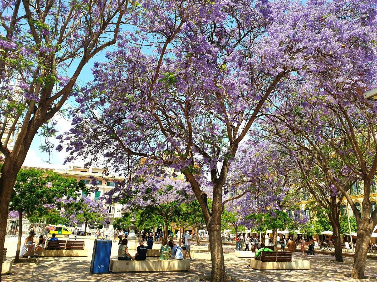 Sunny Malaga Centre Flats, 2 Options, With Balcony Or Terrace 아파트 외부 사진
